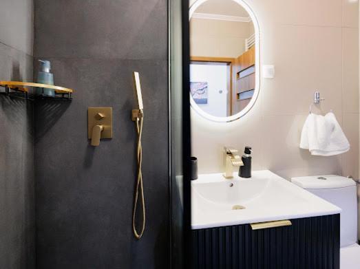 Regia Apartament Oradea Extérieur photo